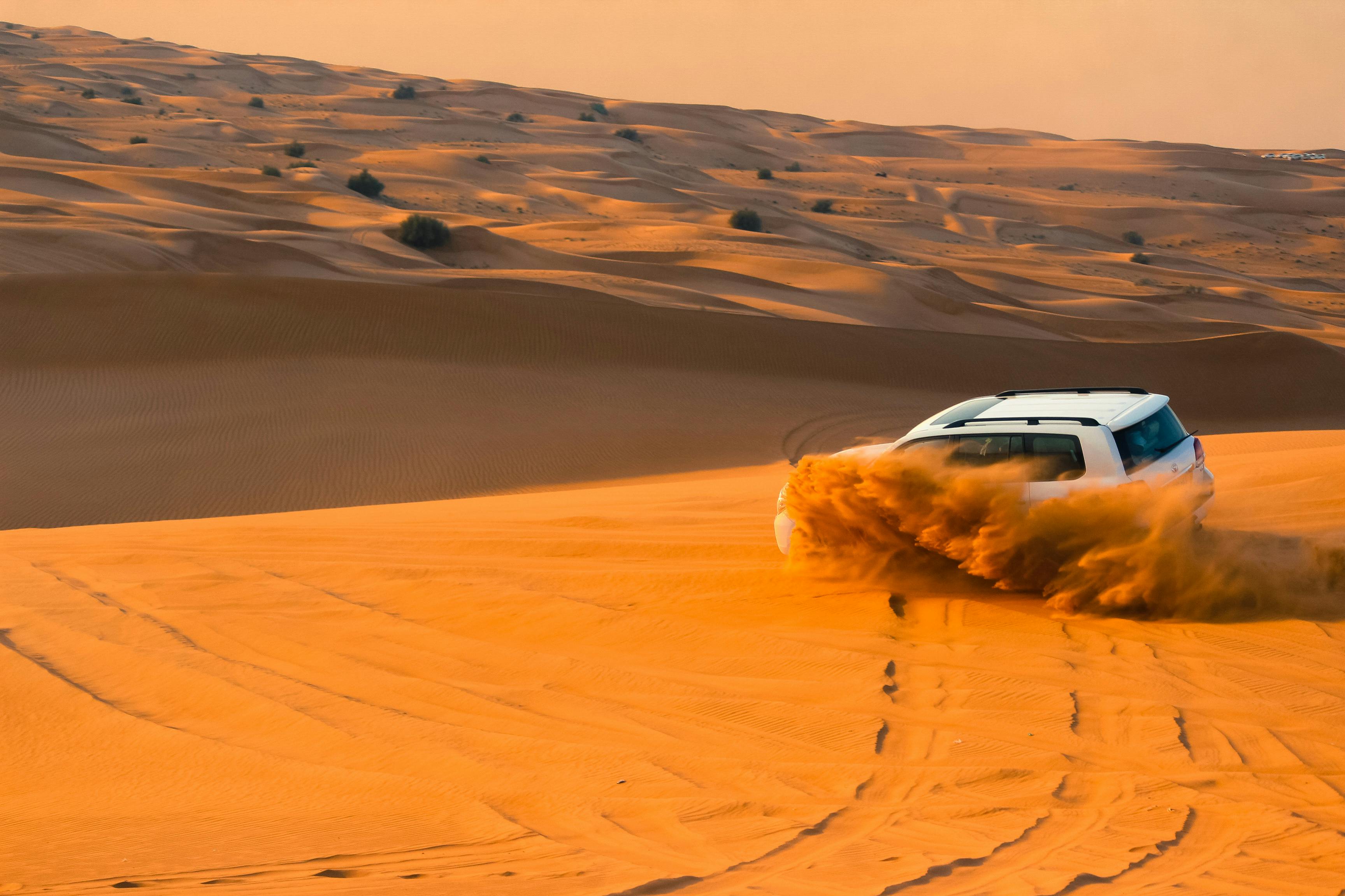 Desert-Safari