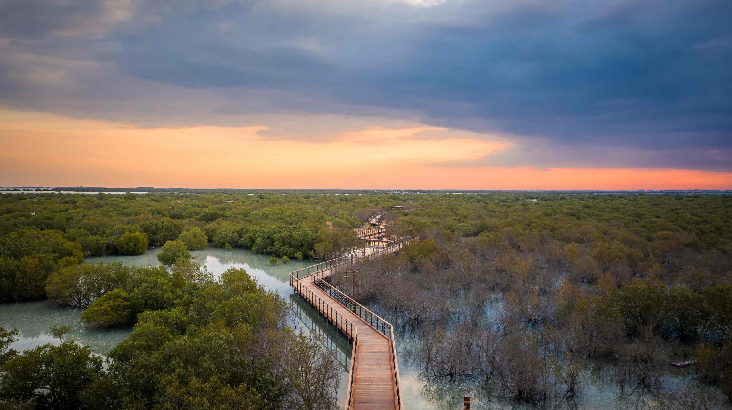 Mangrove-National-Park